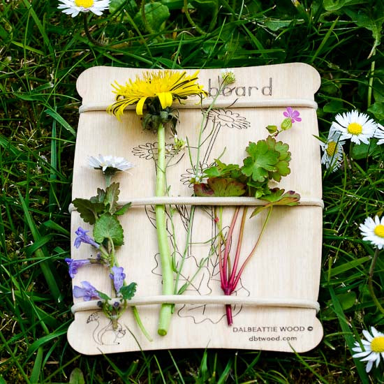Nature Collection Board Small
