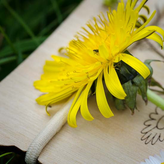 Nature Collection Board Small