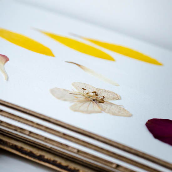 Medium Flower Press with Cotton Straps